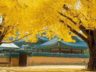 韩国外贸数据,外贸数据,k8凯发国际外贸数据 韩国外贸数据,外贸数据,k8凯发国际外贸数据