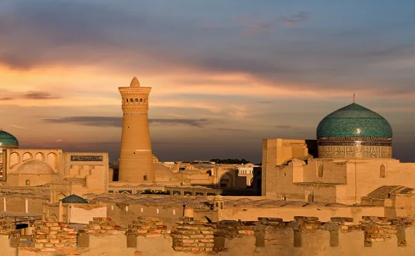 乌兹别克斯坦海关数据查询平台（附免费试用查询名额)