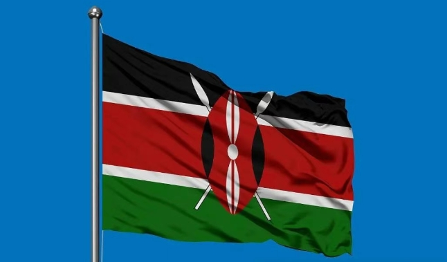 肯尼亚海关数据查询平台（附免费试用查询名额）